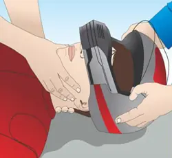 Imagen de la pregunta